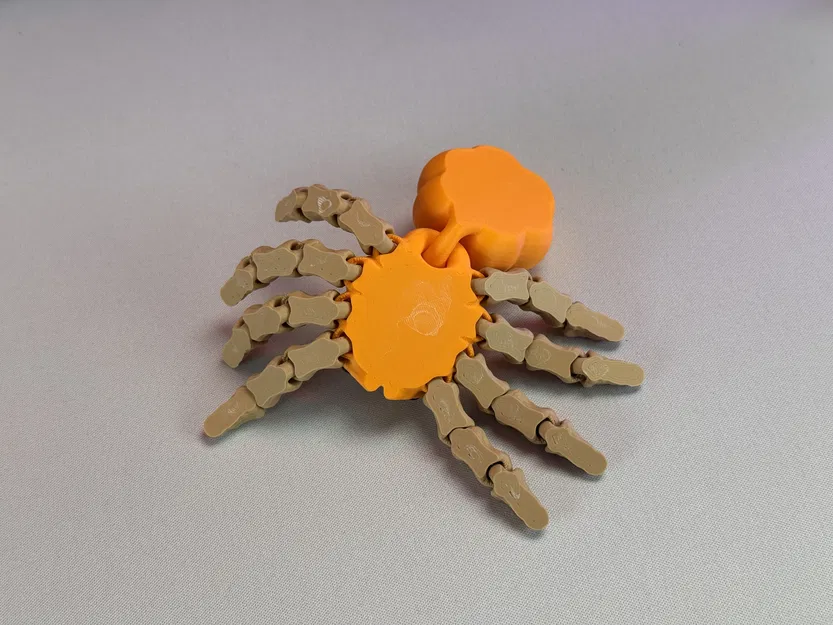 Nhện Bí Ngô Khớp Nối - Image 13