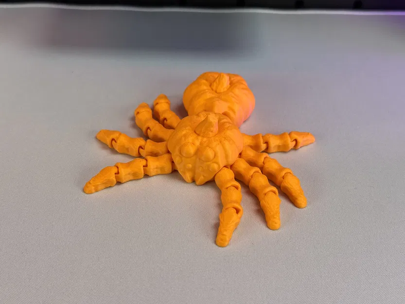 Nhện Bí Ngô Khớp Nối - Image 16