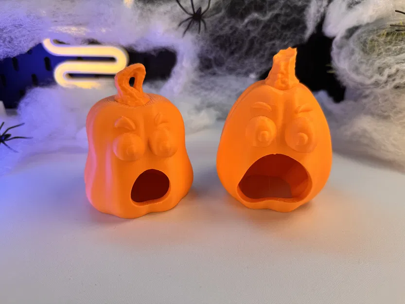 Trái Bí Ngô - Image 16