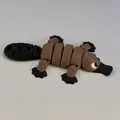 Thú Mỏ Vịt Dễ Thương Khớp Nối Articulated Cute Platypus - Thumbnail 14