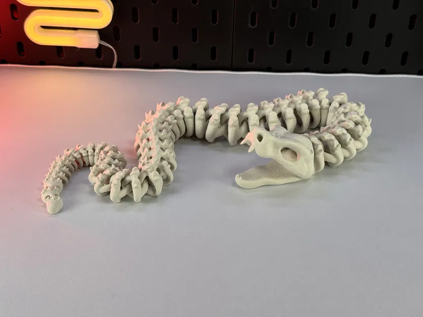 Rắn Bộ Xương Khớp Nối - Image 1