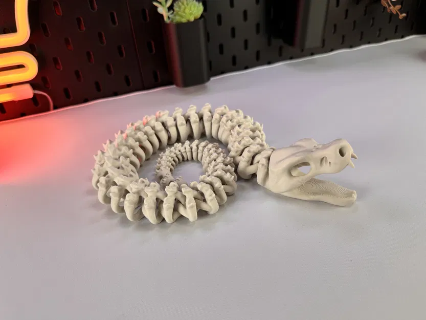 Rắn Bộ Xương Khớp Nối - Image 2