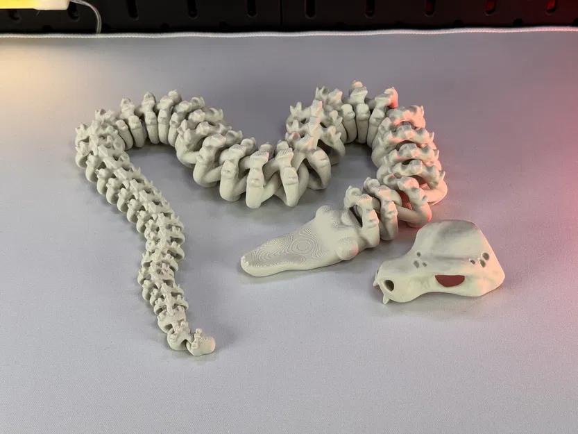 Rắn Bộ Xương Khớp Nối - Image 3