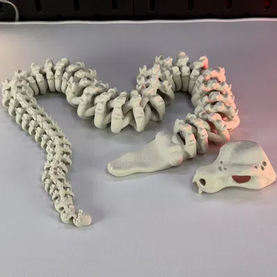 Rắn Bộ Xương Khớp Nối