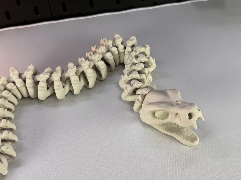 Rắn Bộ Xương Khớp Nối - Image 4