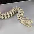 Rắn Bộ Xương Khớp Nối - Thumbnail 4