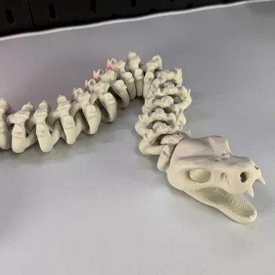 Rắn Bộ Xương Khớp Nối