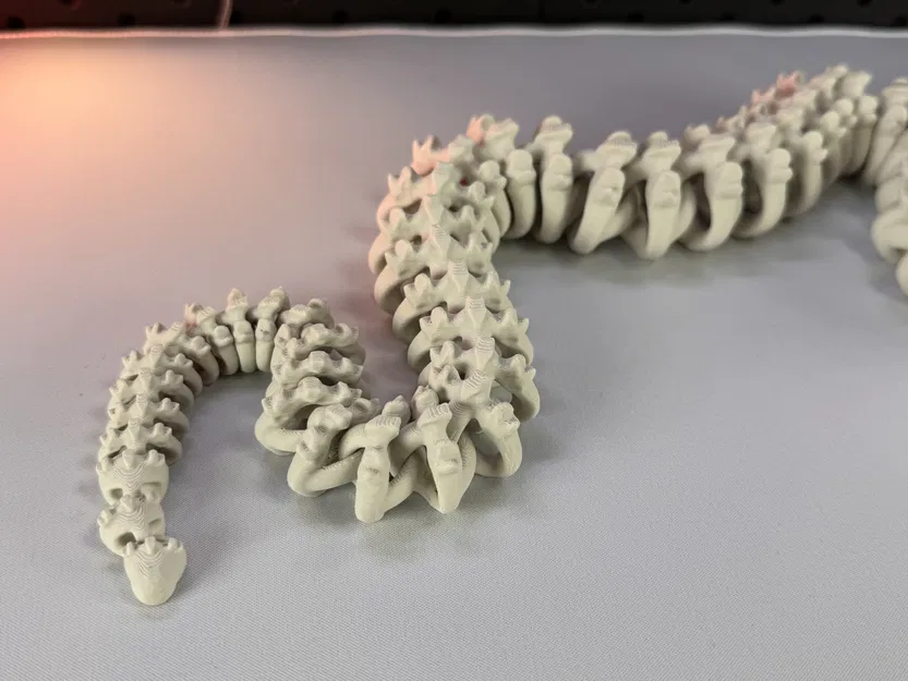 Rắn Bộ Xương Khớp Nối - Image 5