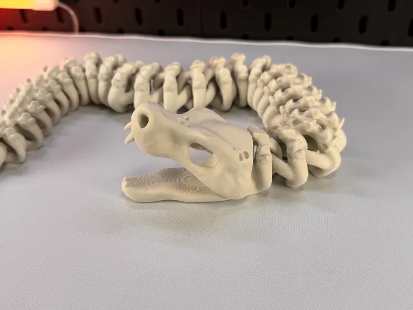 Rắn Bộ Xương Khớp Nối - Image 6