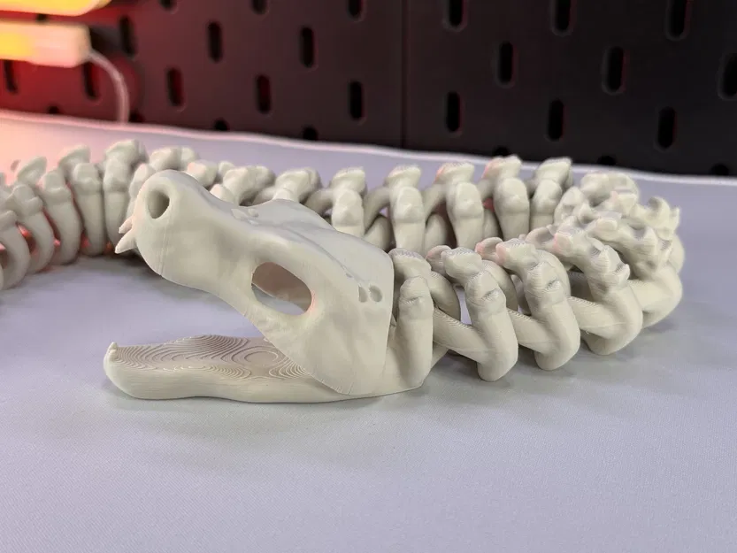 Rắn Bộ Xương Khớp Nối - Image 7