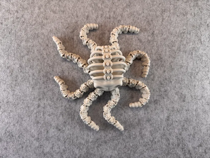 Bạch Tuộc Bộ Xương Khớp Nối - Image 5