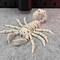 Bọ Cạp Khung Xương Dẻo (Flexi Skeleton Scorpion) - Thumbnail 1