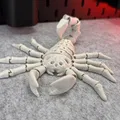 Bọ Cạp Khung Xương Dẻo (Flexi Skeleton Scorpion) - Thumbnail 2