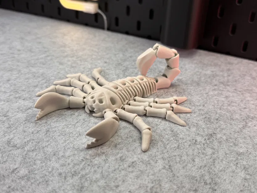 Bọ Cạp Khung Xương Dẻo (Flexi Skeleton Scorpion) - Image 3