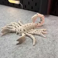 Bọ Cạp Khung Xương Dẻo (Flexi Skeleton Scorpion) - Thumbnail 3