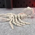 Bọ Cạp Khung Xương Dẻo (Flexi Skeleton Scorpion) - Thumbnail 4
