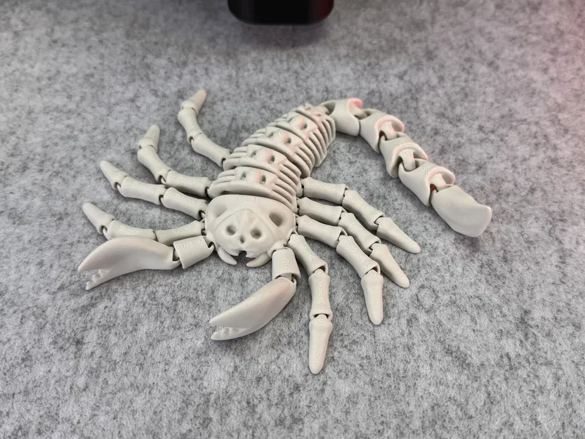 Bọ Cạp Khung Xương Dẻo (Flexi Skeleton Scorpion) - Image 5