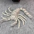 Bọ Cạp Khung Xương Dẻo (Flexi Skeleton Scorpion) - Thumbnail 5
