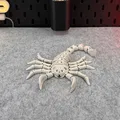Bọ Cạp Khung Xương Dẻo (Flexi Skeleton Scorpion) - Thumbnail 6