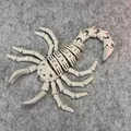 Bọ Cạp Khung Xương Dẻo (Flexi Skeleton Scorpion) - Thumbnail 7