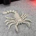 Bọ Cạp Khung Xương Dẻo (Flexi Skeleton Scorpion) - Thumbnail 8