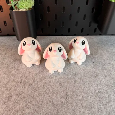 Thỏ Con Dễ Thương