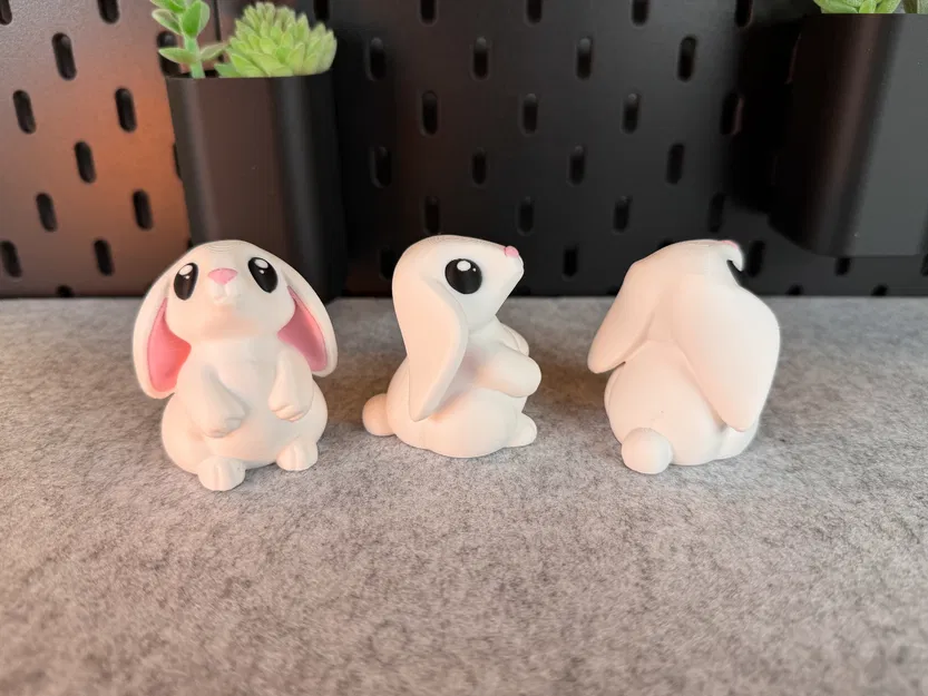 Thỏ Con Dễ Thương - Image 5