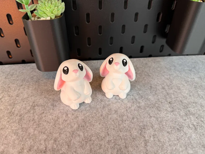 Thỏ Con Dễ Thương - Image 6