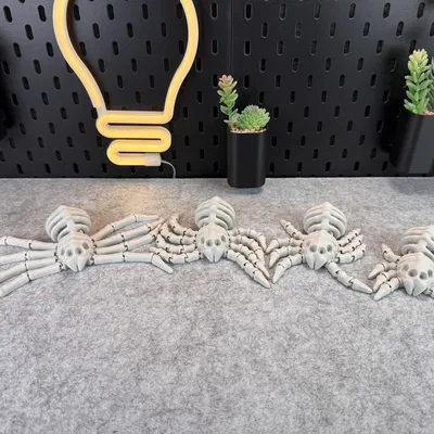 Nhện Bộ Xương Co Giãn V2