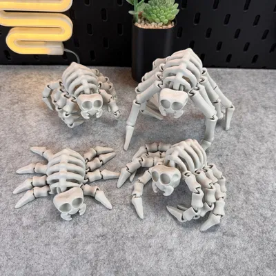 Nhện Khung Xương Flexi V1