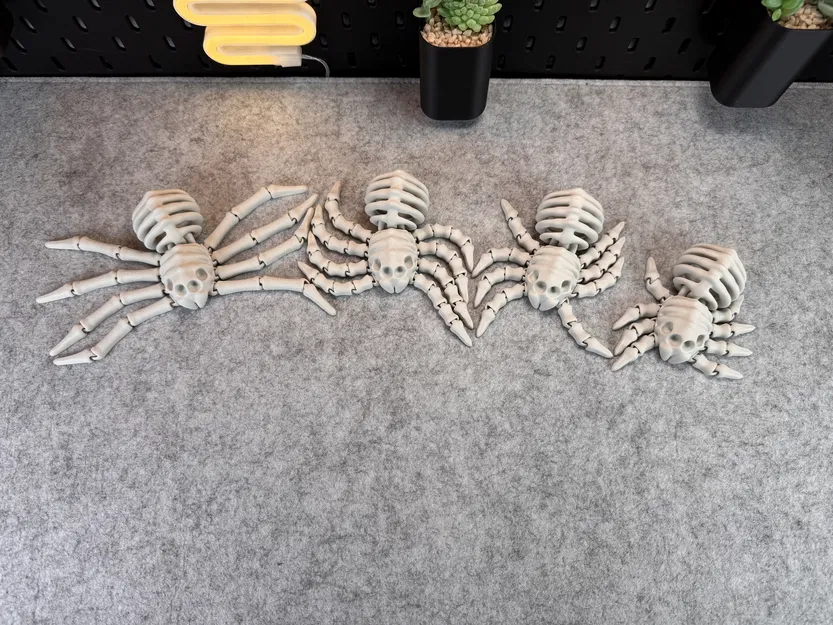 Nhện Bộ Xương Co Giãn V2 - Image 5