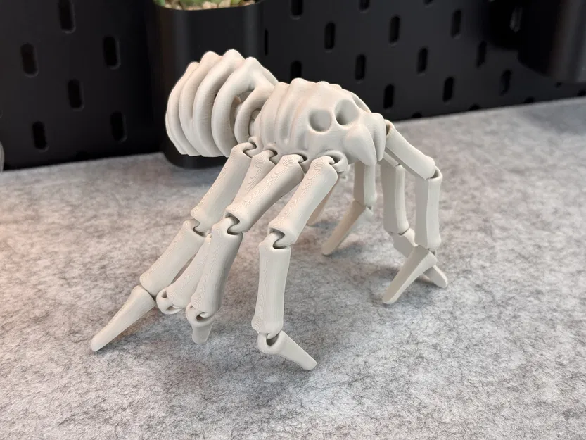 Nhện Bộ Xương Co Giãn V2 - Image 6