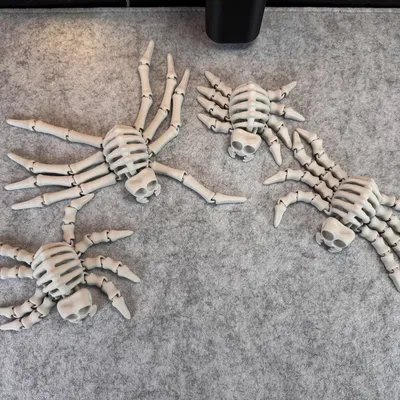 Nhện Khung Xương Flexi V1