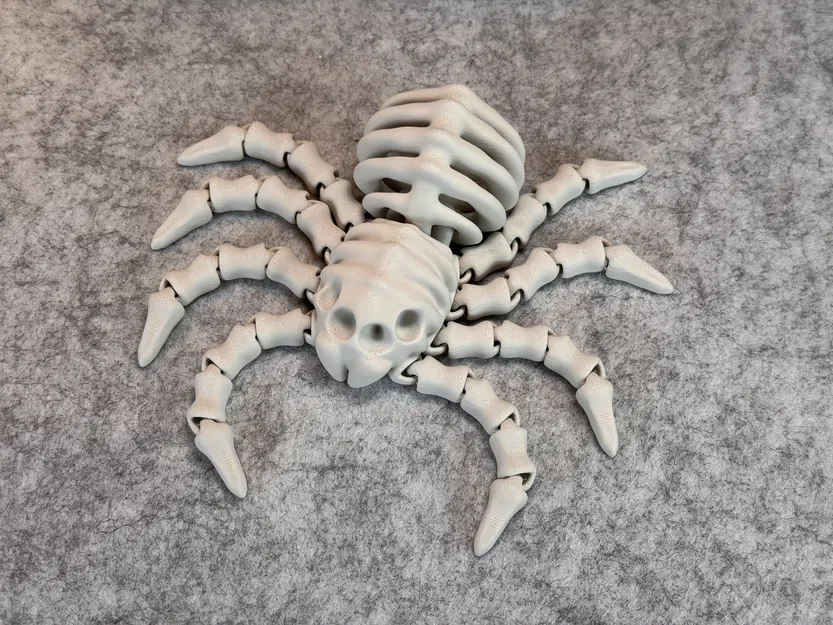 Nhện Bộ Xương Co Giãn V2 - Image 12