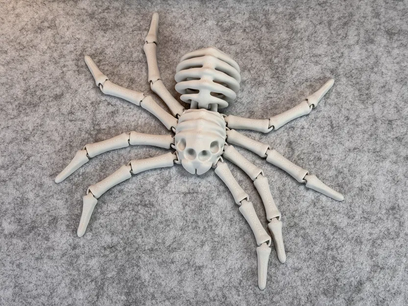 Nhện Bộ Xương Co Giãn V2 - Image 14