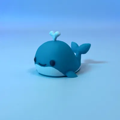 Cá Voi Nhỏ Xinh Xắn