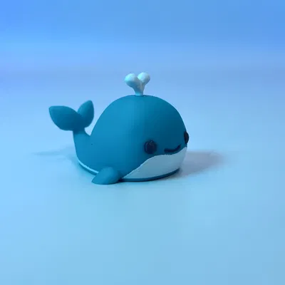 Cá Voi Nhỏ Xinh Xắn