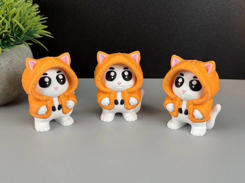 Mèo Mặc Hoodie - Image 9