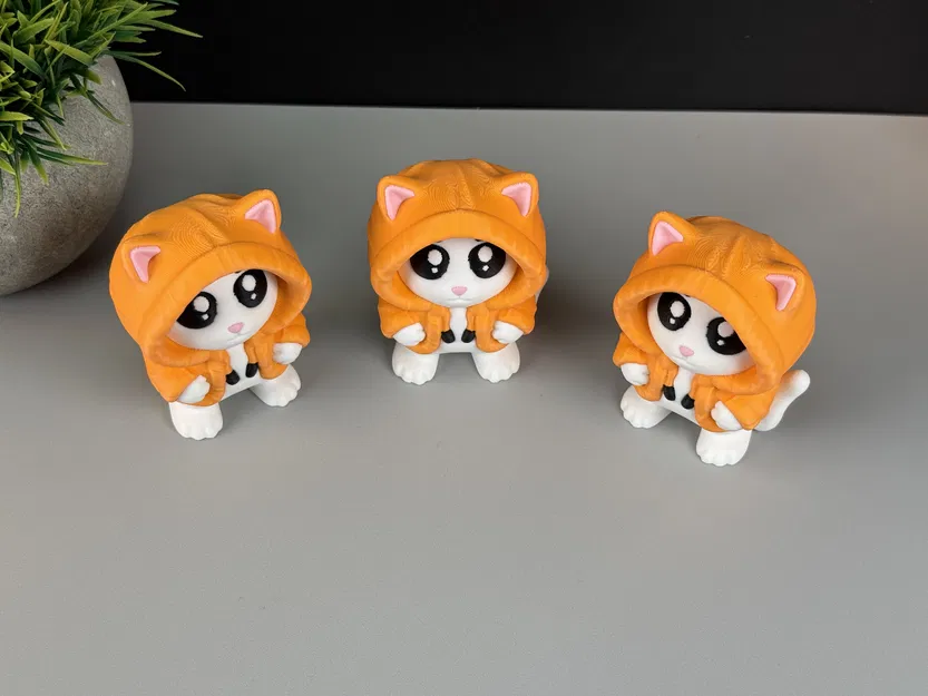 Mèo Mặc Hoodie - Image 11