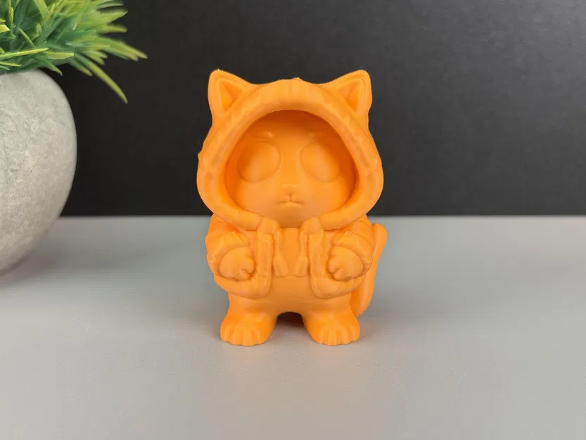 Mèo Mặc Hoodie - Image 13