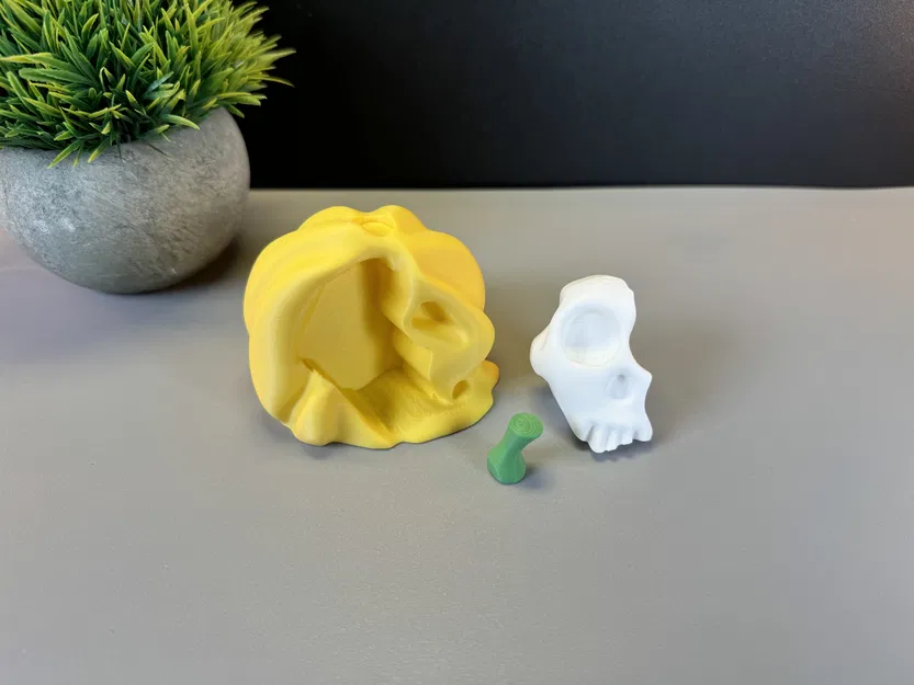 Bí Ngô Đầu Lâu Tan Chảy - Image 7