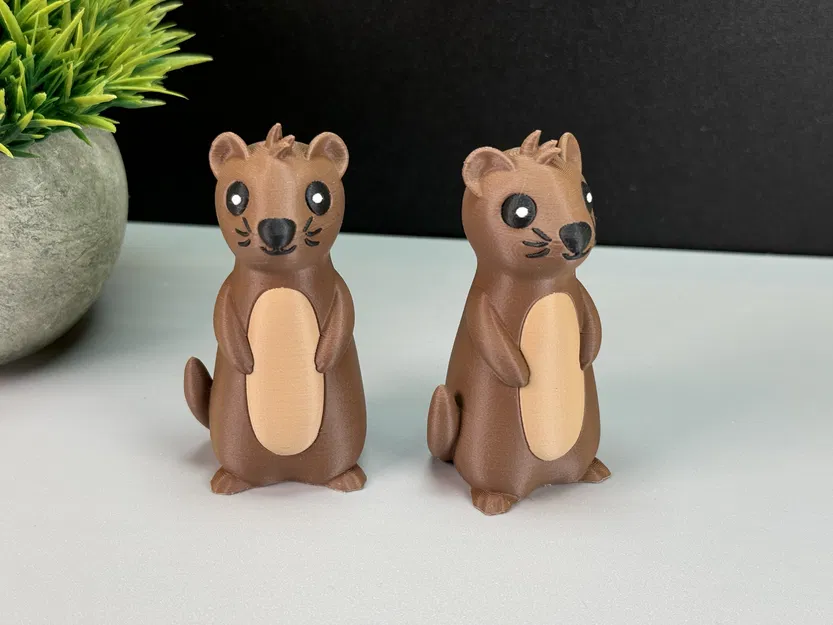 Rái Cá Dễ Thương - Image 1