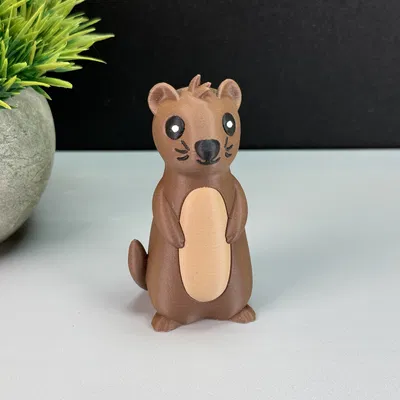 Rái Cá Dễ Thương