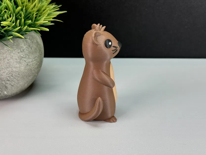 Rái Cá Dễ Thương - Image 4