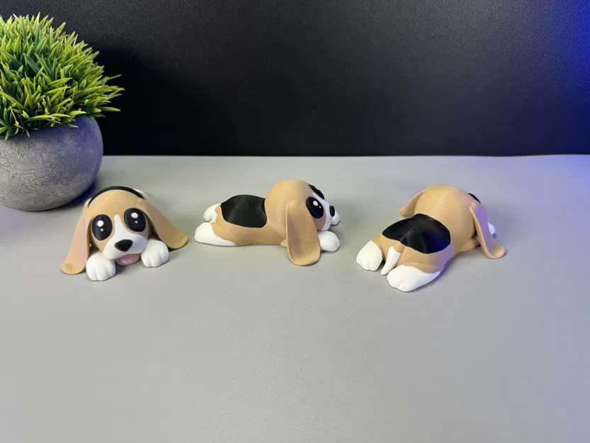 Chó con Dễ thương - Image 4