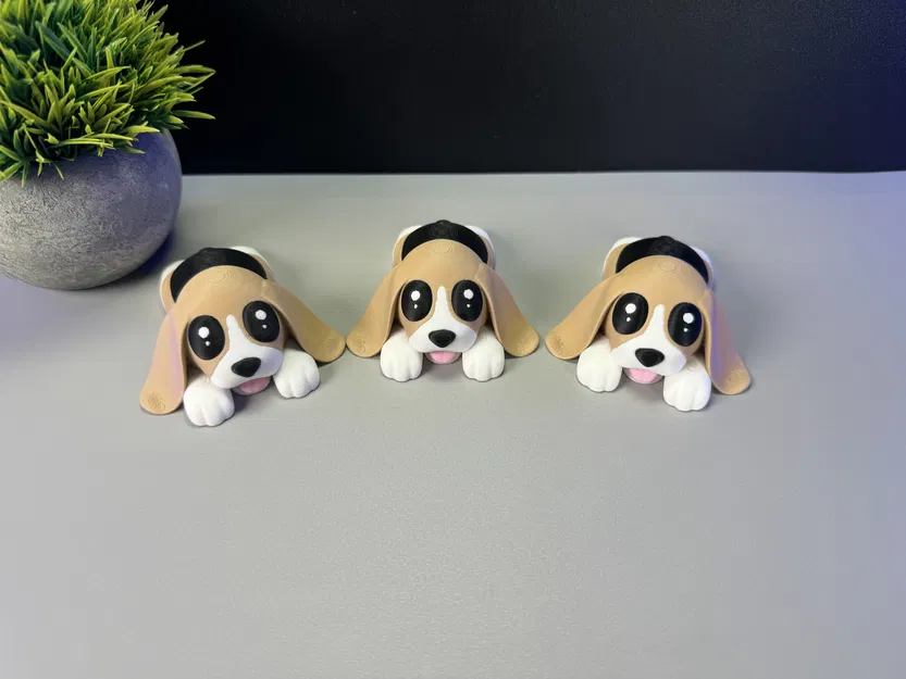 Chó con Dễ thương - Image 5