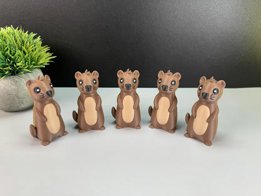 Rái Cá Dễ Thương - Image 7