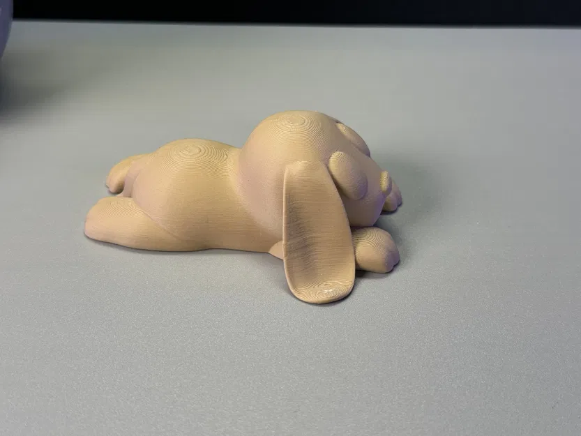 Chó con Dễ thương - Image 8