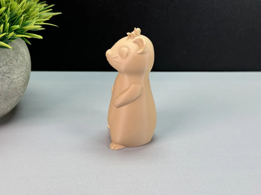 Rái Cá Dễ Thương - Image 10