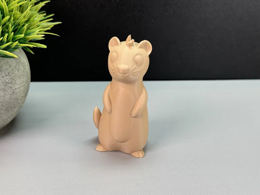 Rái Cá Dễ Thương - Image 11